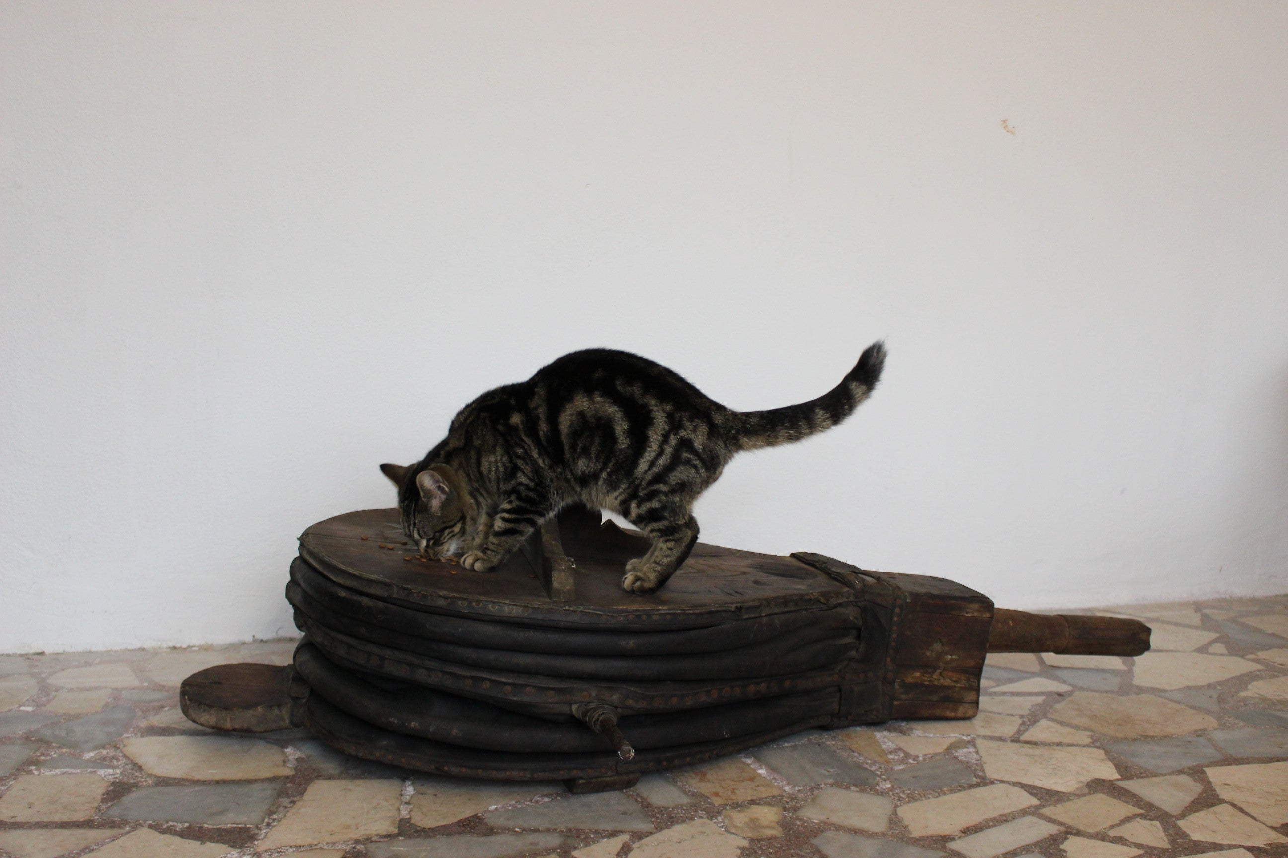 Antika dev demirci körüğü