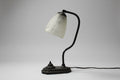 Art Nouve-Gooseneck Lamba